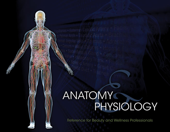 Anatomy and Physiology Reference for Beauty and Wellness Professionals